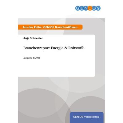 Branchenreport Energie & Rohstoffe, Taschenbuch von Anja Schneider, GRIN, 978-3-7379-4395-6