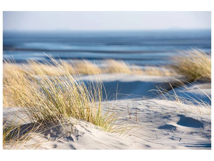 Canvas Time Out on The Beach image LAND
