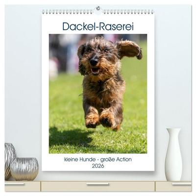 Dackel-Raserei (hochwertiger Premium Wandkalender 2026 DIN A2 hoch), Kunstdruck in Hochglanz
