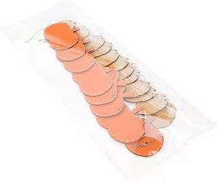 ClearBags "Secure Flap Closure Clear Plastic Bags For Large Art Bags with Backing Bag Size: 8 7/16"" x 20 1/4"" 100 Bags Crystal Clear Bags"