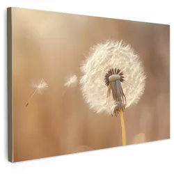 LEINWANDBILD Löwenzahn - Beige - Natur - Blume Gemälde 60x40 cm