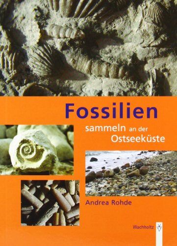 Andrea Rohde - Fossilien sammeln an der Ostseeküste: Trilobiten, Seeigel, Donnerkeile und Co. - Fossilführende Gesteine des südwestlichen Ostseeraumes - Preis vom 09.10.2026 07:28:09 h