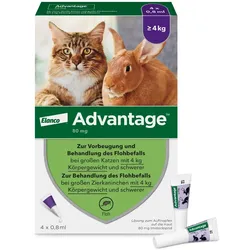 ADVANTAGE 80 mg f.gr.Katzen u.gr.Zierkaninchen 4X0.8 ml