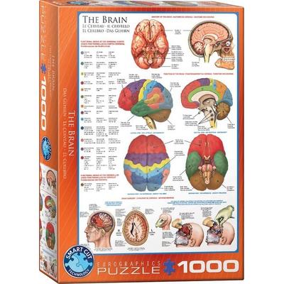 Puzzle 1000 Teile - The Brain