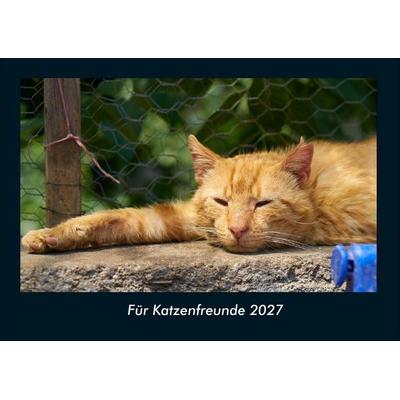Für Katzenfreunde 2027 Fotokalender DIN A4