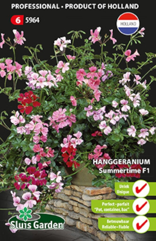 Sluis Garden Hanggeranium Summertime F1 zaden