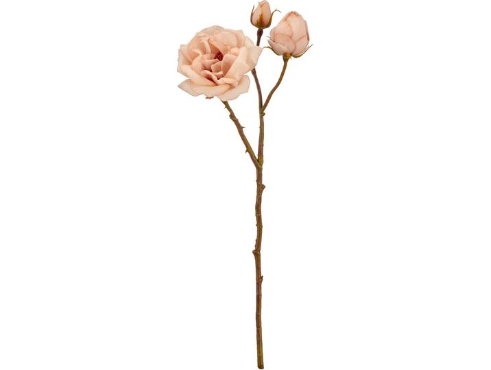 Kunstblume Natural & Feminine Glamour apricot Kunststoff H 60 cm