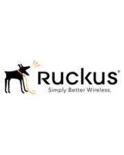 Ruckus 1 Lizenzen 1 Jahre Vor Ort Partner WatchDog Support NAT Service 1 Year (S02-VSZD-1LNA)
