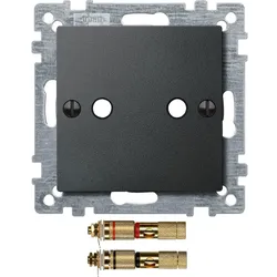 Merten Zentralplatte anth 469314