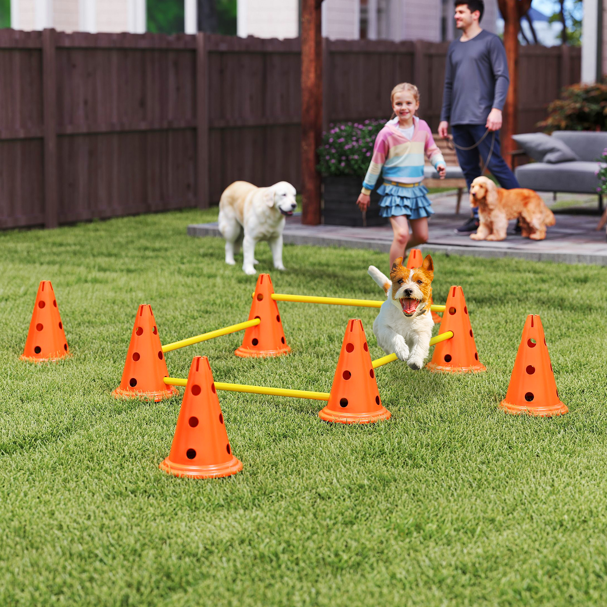 Pawhut Agilità per Cani con 8 Coni 8 e Barre, per Ostacolo Allenamento di Coordinazione, 80x22.5X30 cm, Arancione   Aosom Italy