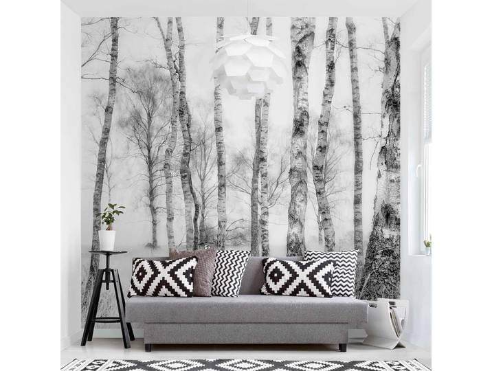Papier peint Forêt de bouleaux NoirBlanc 336 x 336cm 336 x 336 cm
