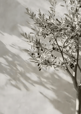 Inspire Picks Retro Olive Tree & Lemon Canvas Wall Art Elegant Mediterranean Botanical Decor 4 50x80cm