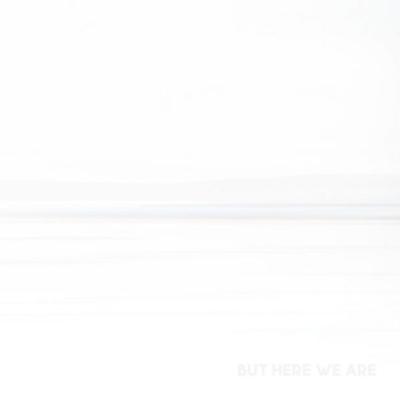 But Here We Are - Foo Fighters, CD