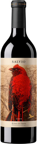 Dominio de Elbio Salvio  2024