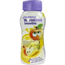 Nutrinidrink Smoothie Sommerfrüchte 200 ML