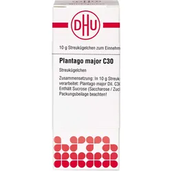 Plantago Major C30 10 G