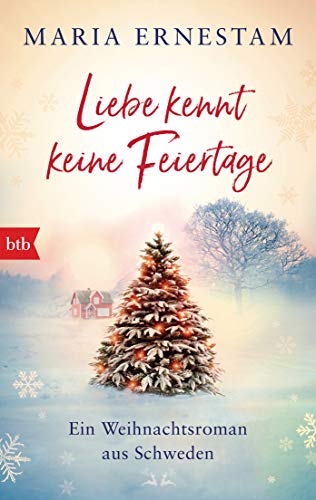 Maria Ernestam - Liebe kennt keine Feiertage: Ein Weihnachtsroman aus Schweden - Preis vom 10.10.2026 11:48:34 h