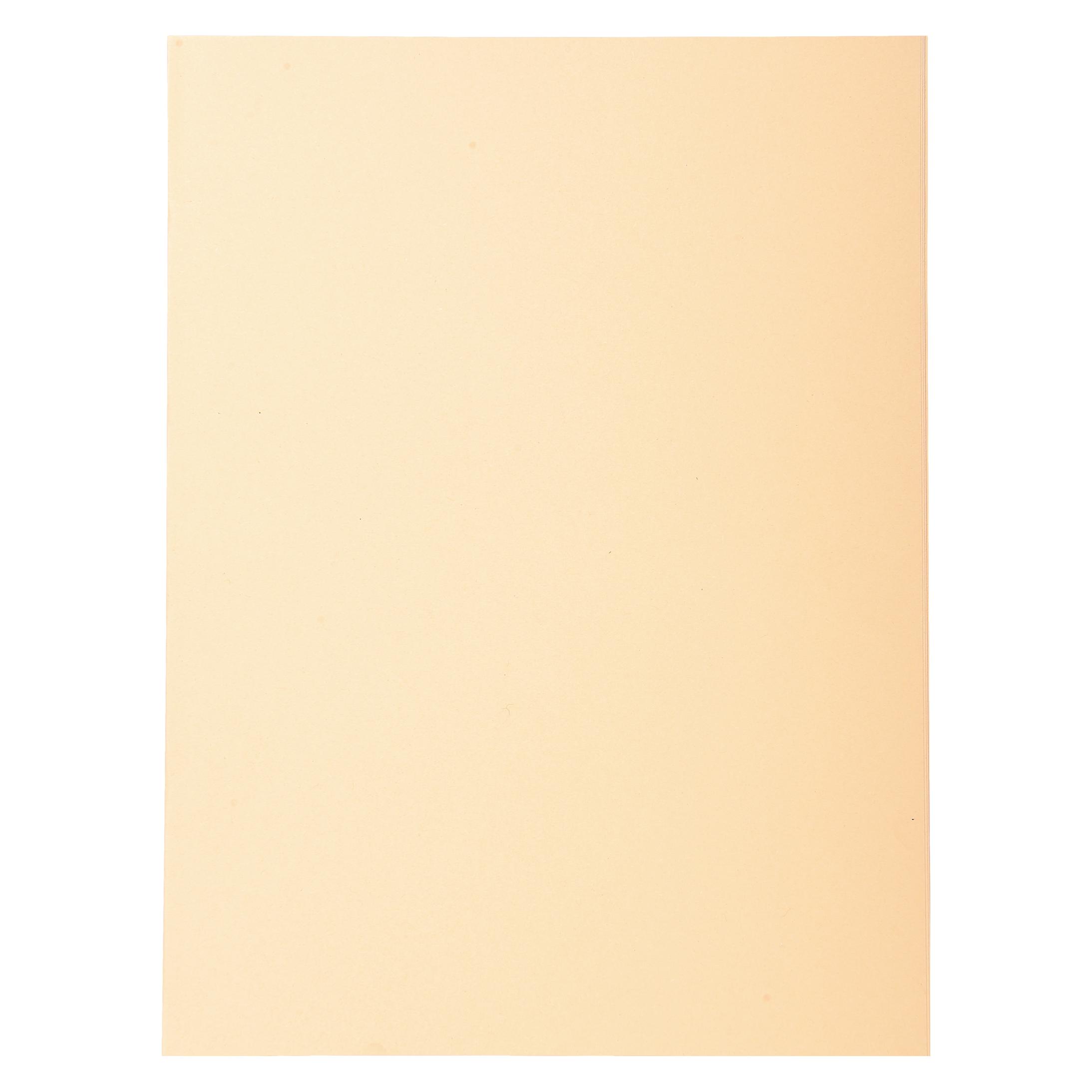 Exacompta Aktendeckel (A4, 100x) (420002E)