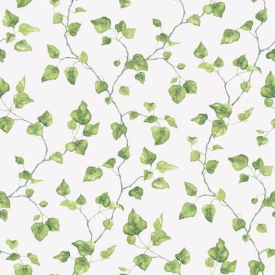 Galerie Wallcoverings Just Kitchens Just Ivy Leaf Trail Vinyl on Non-woven Matte Wallpaper Roll