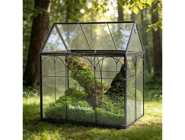 Terrarium en verre pour paysage de forêt tropicale miniature avec micro-moisson, écosystème de mousse, serre de bureau, vase de table d'intérieur