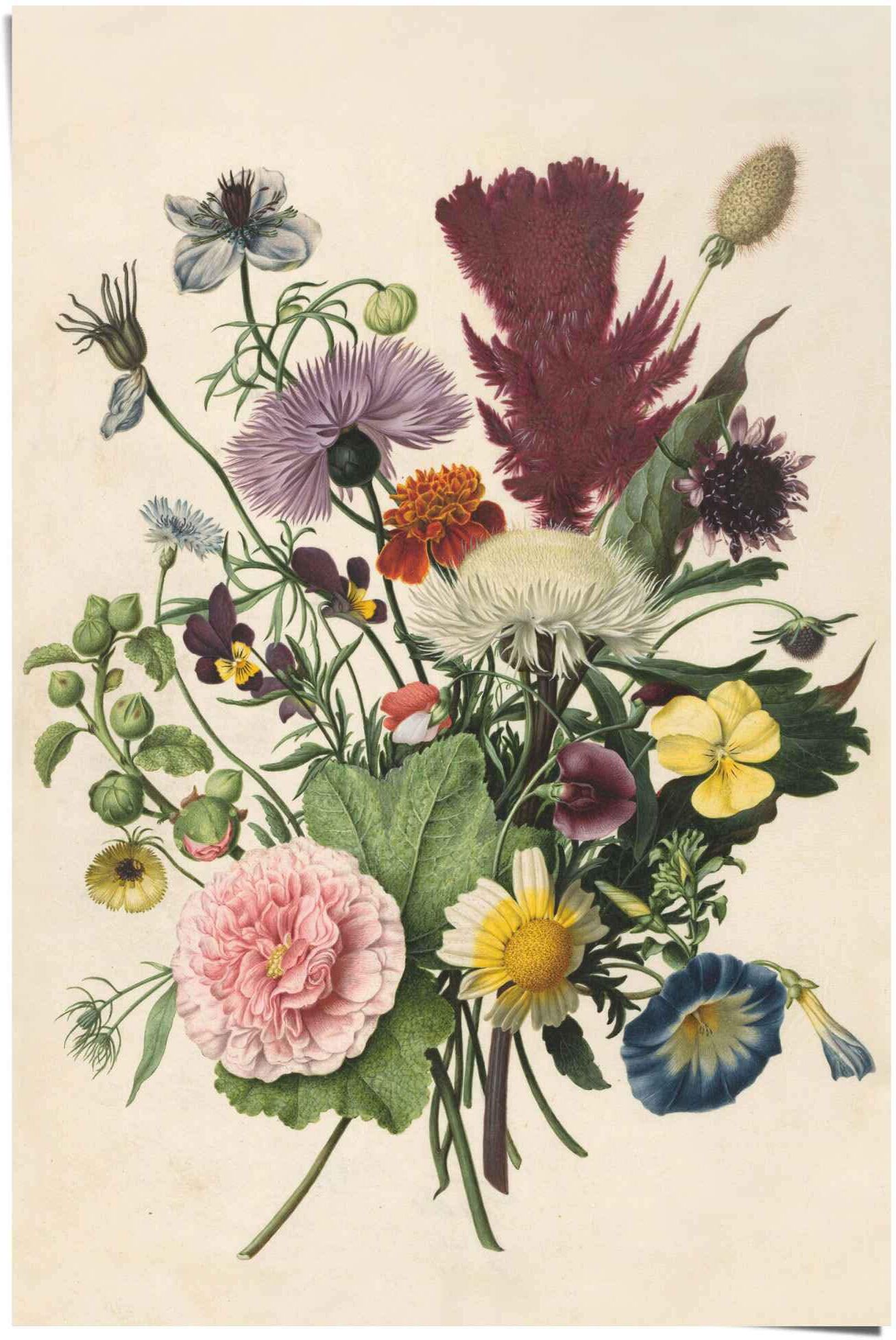 Reinders! Poster REINDERS "Blumenstrauß Stilleben - Blumen - Rijksmuseum", bunt (farbe bild(er): mehrfarbig), B:61cm H:91,5cm, Papier, Bilder, Poster