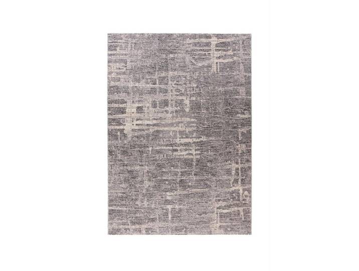 Teppich Jaka 325 Grau, 120x170 cm