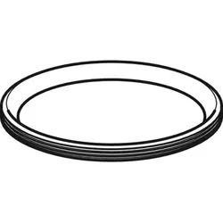 Geberit Lippendichtung, DN125 243376001