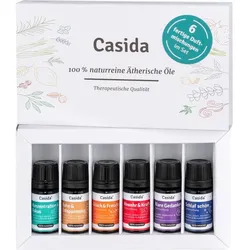 Ätherische Öle Duftmischungen Set Naturrein Top 6 30 ML
