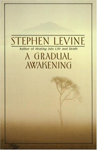 Stephen Levine - A Gradual Awakening - Preis vom 09.10.2026 07:28:09 h
