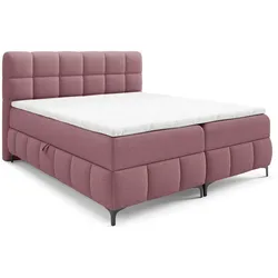 BOXBETT Sophie In Aragon