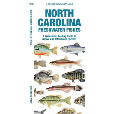 North Carolina Freshwater Fishes, Geheftet von Matthew Morris,Waterford Press, Globe Pequot Publishing Group Inc, 978-1-62005-559-5