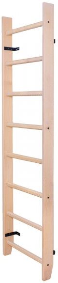 BenchK 100 Wall Bars