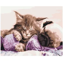 Syma Picture Paint it! Painting by numbers Cat and dog