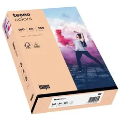 Tecno Kopierpapier Colors, A4, 160g/m2, 1250 Blatt, lachs