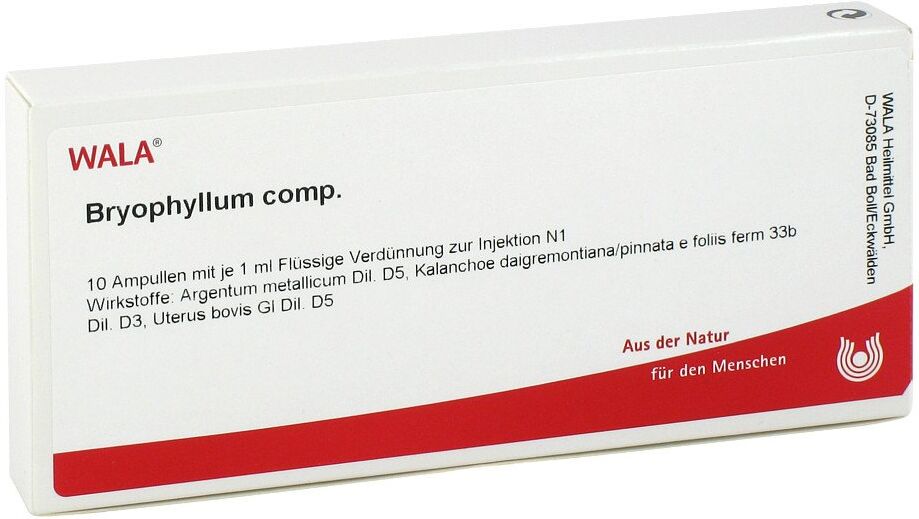 Wala Bryophyllum Comp. Ampullen