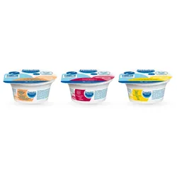 Fresubin YOcreme Mischkarton 24X125 g Creme