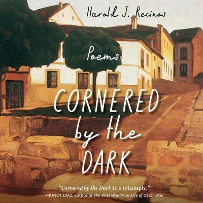 Cornered by the Dark - Harold J. Recinos, Audio, 9781640609952