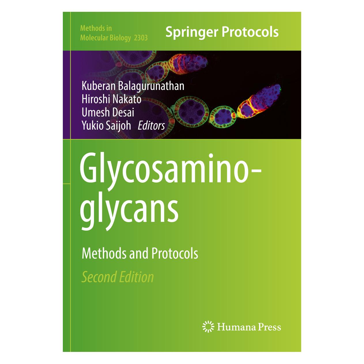 Springer Glycosaminoglycans (Englisch, Softcover, Hiroshi Nakato, Kuberan Balagurunathan, Umesh Desai, Yukio Saijoh) (56894059)