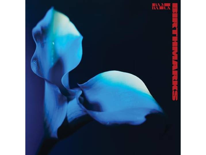 Audio Cd Bambara - Birthmarks