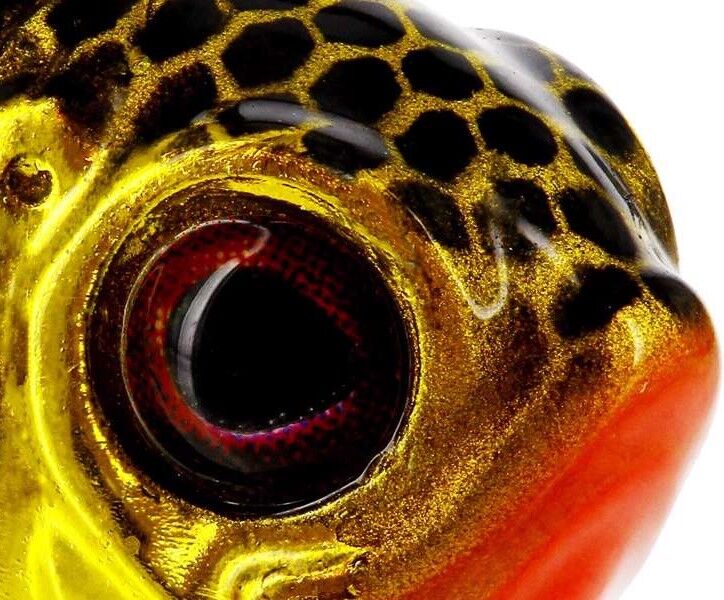 Westin Dropbite Tungsten Spin Tail Jig