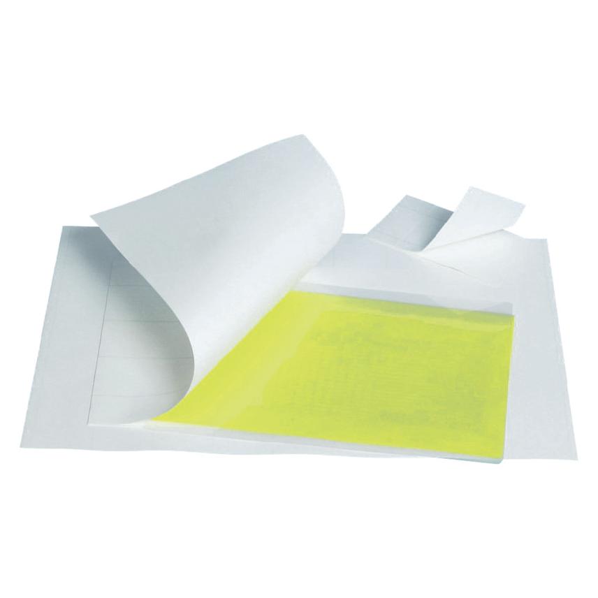 GBC Carrier (A3, 5 Stk., 100 µm) (EK03000)
