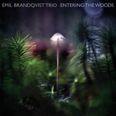 Entering The Woods (ltd/180gr/Black Vinyl) - Emil Brandqvist Trio, Vinyl
