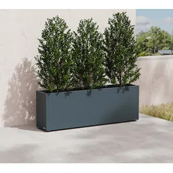 Herstera Garden Cube 30 L | hoher Pflanzkübel rechteckig | 30x150x50 cm - Anthrazit