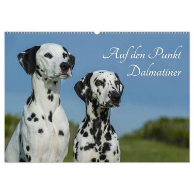 Auf den Punkt - Dalmatiner (Wandkalender 2027 DIN A2 quer), CALVENDO Monatskalender