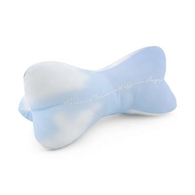 Leseknochen Cloudtrip
