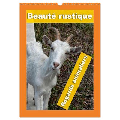 Beauté rustique Regards animaliers (Calendrier mural 2026 DIN A3 horizontal), CALVENDO calendrier mensuel