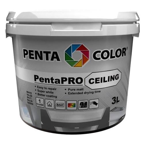 Pentacolor Paint Pentapro Ceiling Balt3l (3000 ml) (33048235)