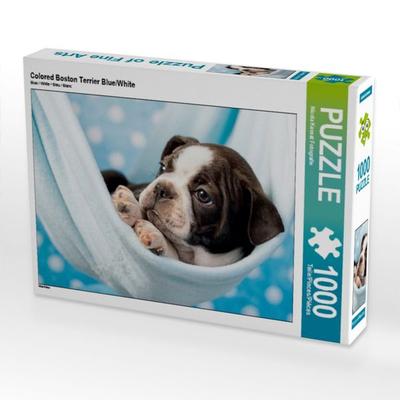 CALVENDO Puzzle Colored Boston Terrier Blue/White | 1000 Teile Lege-Größe 64x48cm Foto-Puzzle für glückliche Stunden