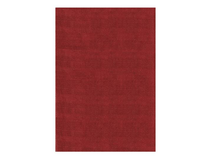Tapis à poils courts Rouge/Rouge 160 x 230cm Polyester