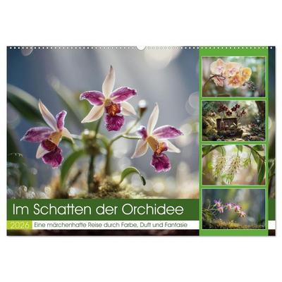 Im Schatten der Orchidee (Wandkalender 2026 DIN A2 quer), CALVENDO Monatskalender